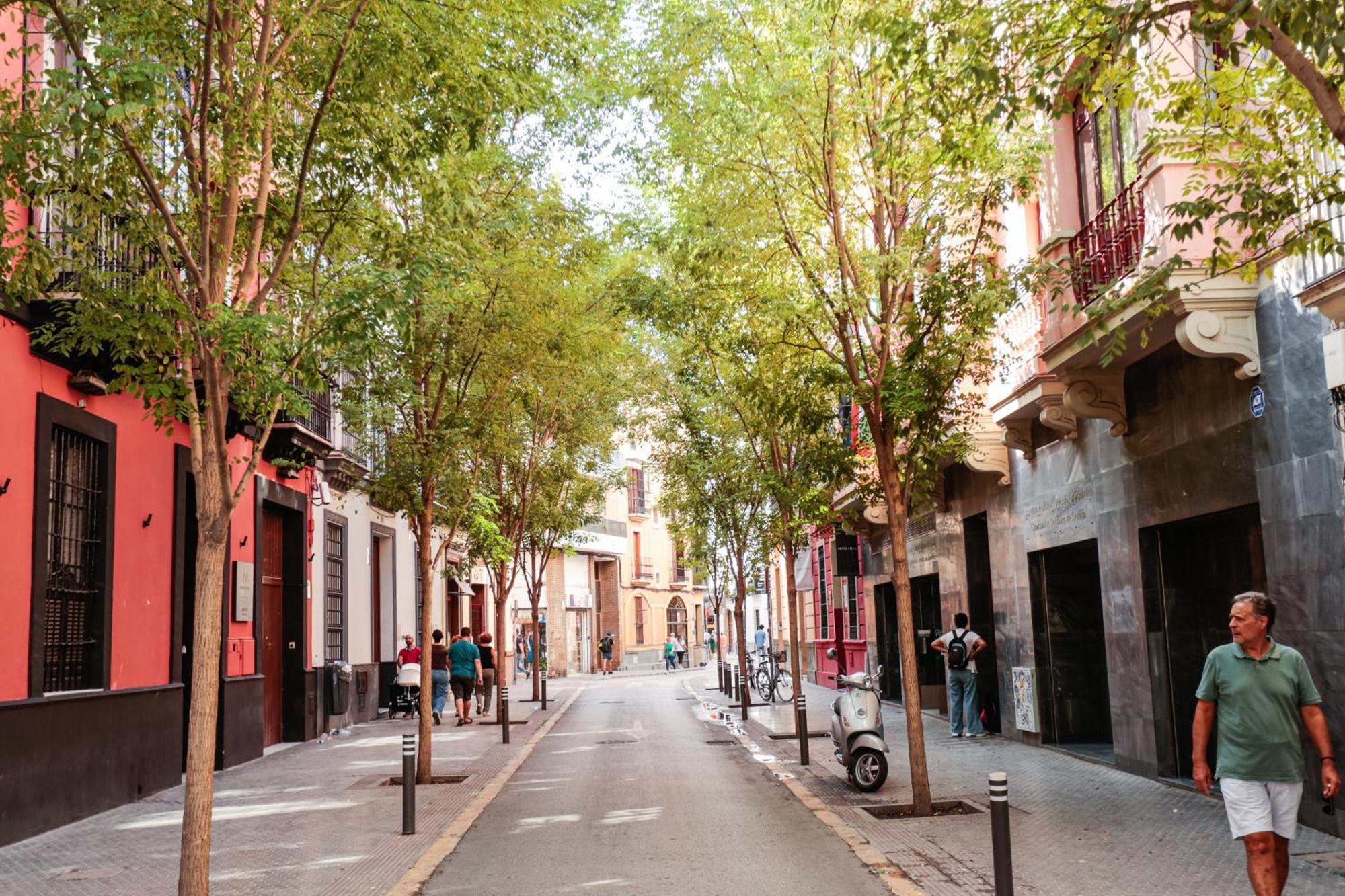 Monkeys Apartments Cervantes Σεβίλλη Εξωτερικό φωτογραφία